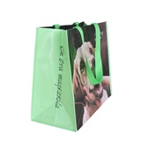 PP Woven Shopping Bag PP-103 Woven Shopping Bag