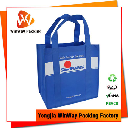 NW-164 Custom Logo Recycled Non Woven Eco Handle Shopping Bags