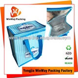 Cooler Bag ICE-035 Cheap Price Waterproof PP Non Woven Cooler Bag