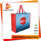 PP Woven Shopping Bag Laminated Woven Oem Reusable Shopping Bag PP 106